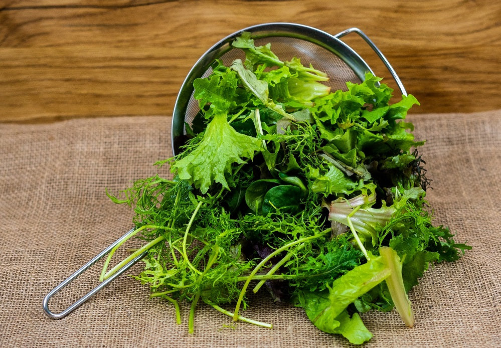 Bio-Pflücksalat (Nur an Gastro in BS)