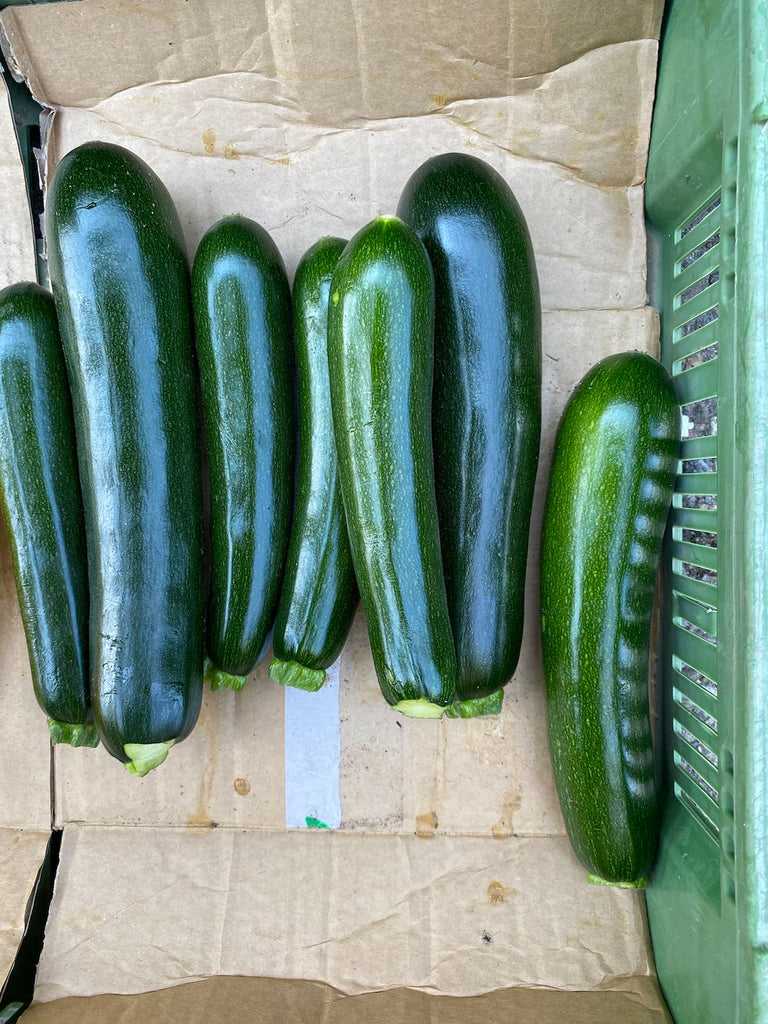 Zucchini grün