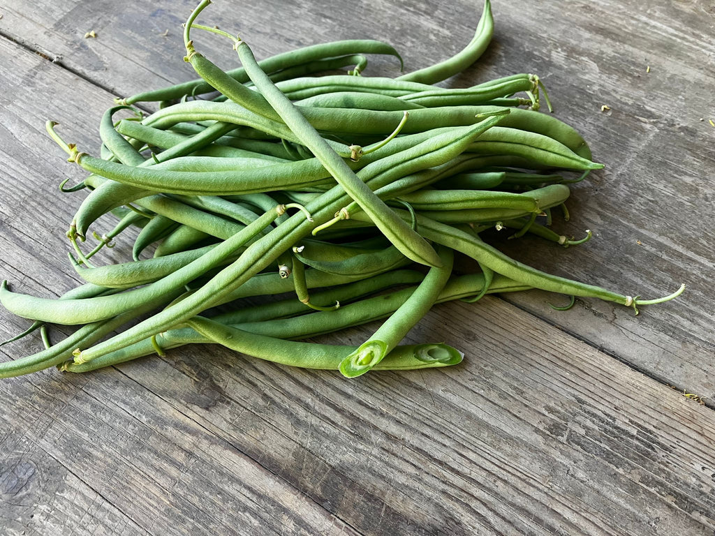 Bio - Buschbohnen, ganzes G2 - Gebinde = 4 Kg